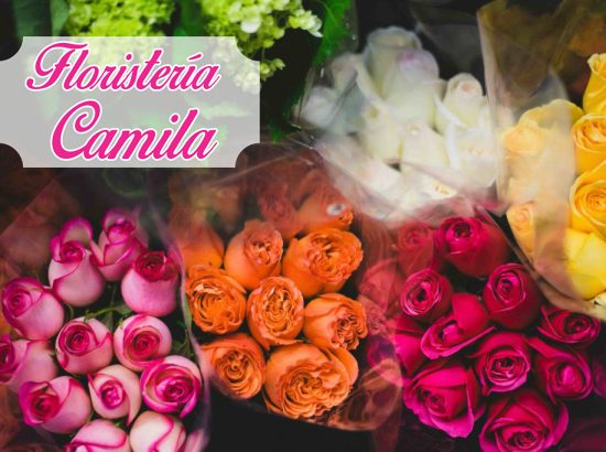 Floristería Camila 