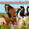 Agroveterinaria San ...