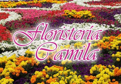 Floristería Camila