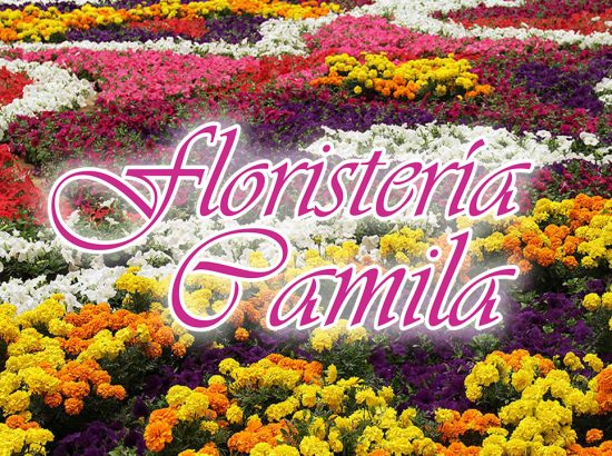 Floristería Camila 