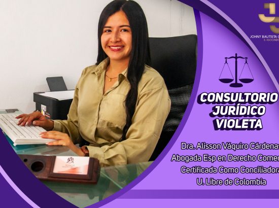 CONSULTORIO JURIDICO VIOLETA 